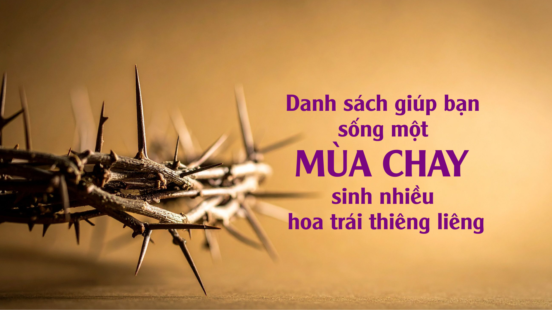 Danh sách giúp bạn sống một Mùa Chay sinh nhiều hoa trái thiêng liêng